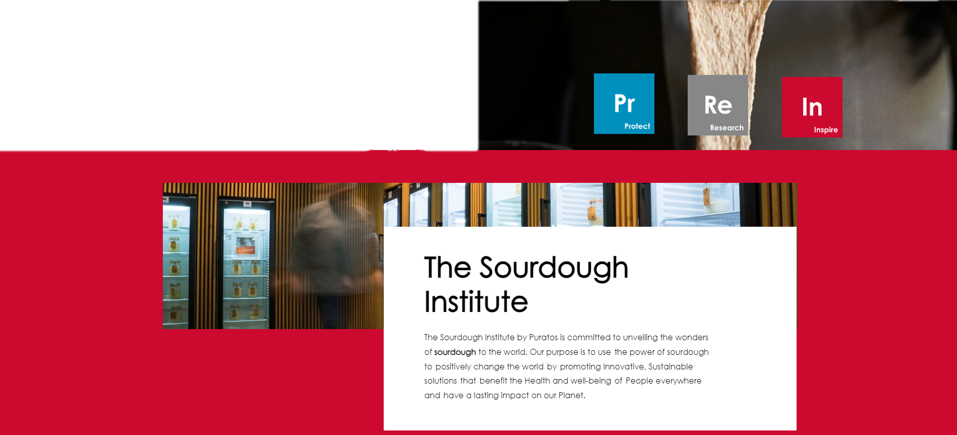 The Sourdough Institute